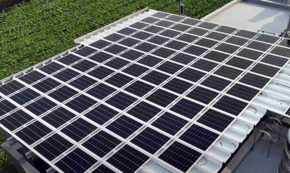 z6mg·人生就是博SunSteel光电浪板升级双玻结构，，，以提升机械负载强度及气候耐候度，，可广泛运用于多元场域